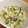 nohohonoho's cooksnap of when they made 野沢菜とスクランブルエッグのおにぎり☆.