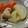 めぐのぞちゃん's cooksnap of when they made 鶏と大根の炊いたん！.