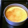 lilychiyo's cooksnap of when they made ミキサーde簡単♪かぼちゃのケーキ.