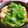 1023asuka's cooksnap of when they made シンプル☆豚のはりはり鍋.