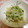 yunikka's cooksnap of when they made 塩麹で*+もやしとにらのコクウマ炒め*+.