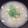 lucey☆girl's cooksnap of when they made 骨付き鶏肉の参鶏湯風雑炊.