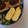 ゆぅぷん's cooksnap of when they made *我が家の定番絶品卵焼き*.