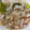 クック7PG2F0☆'s cooksnap of when they made イカとネギの酢味噌和え.