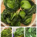 horseland's cooksnap of when they made 高菜の漬物(高菜漬け）.