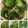 horseland's cooksnap of when they made 高菜の漬物(高菜漬け）.