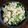 かわゆう1211's cooksnap of when they made 水菜と豆腐の白和え　☆わさび味☆.