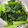 ♬のんのこ日和♬'s cooksnap of when they made 【副菜】レンジで小松菜の塩昆布和え.