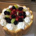 guremy♡'s cooksnap of when they made ＊＊困った時のビスキュイ生地＊＊.