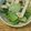 ｋａｍｉｙａｍａ's cooksnap of when they made イカとチンゲン菜の炒めもの.