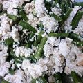 季節外れ's cooksnap of when they made いんげんのヘルシー白和え.