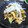 みゅう１５'s cooksnap of when they made トロトロ焼きなすとささみのめんつゆ和え.