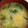 モカchama's cooksnap of when they made 大根の葉でワカメと野菜の簡単お味噌汁☆.