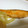 YOSHIMAYUv's cooksnap of when they made 秋鮭のソテー たまねぎを添えて♪.