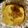 n0604's cooksnap of when they made ヘルシー♪ぶどうはちみつケーキ.