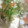 けいよせふ's cooksnap of when they made 豆腐と白菜の中華風とろり煮.