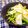 沖田晴喜's cooksnap of when they made ゆずかおる～かぶ☆かぶの葉のつけもの.