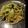 mayumily's cooksnap of when they made 昆布茶でパスタ.