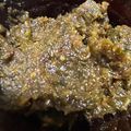 2児の男子～ママ's cooksnap of when they made ■青唐辛子味噌■とうがらしみそ■.