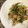 daisota's cooksnap of when they made 豚肉と春菜と舞茸炒め.