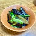 ねっちゃんっ's cooksnap of when they made 麺つゆで簡単ヘルシー♪ナスと小松菜煮浸し.