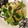 romi1013's cooksnap of when they made 簡単セロリ炒め.