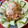 mahochan1's cooksnap of when they made 豚肉の生姜ソース和え.