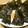 meg115's cooksnap of when they made 『かもめ食堂』の癒しのシャケおにぎり.