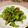 こは＊'s cooksnap of when they made ピーマンのおかか和え.