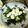 はーむちゃん's cooksnap of when they made 豆腐サラダ　（玉ねぎドレッシング）.