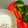 jamtan05's cooksnap of when they made ☆チーズディップで温野菜☆.