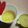 まうん✿'s cooksnap of when they made 粒なしカボチャのマフィン.