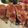 ルリナ's cooksnap of when they made ♪豚肉のパン粉焼き♪.