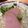 jambo☆mama's cooksnap of when they made 貝割れとハムのキャベツサラダ.