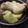 こうへい1206's cooksnap of when they made 鶏手羽元とさつまいものうま煮.
