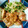 あむらぶ's cooksnap of when they made お家で焼き鳥屋さん♡簡単！鶏のネギ塩焼き.