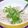 karo55's cooksnap of when they made ツナと大根のさっぱりサラダ.