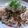 バカリャウ's cooksnap of when they made 納豆おろしうどん.