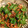 liarra's cooksnap of when they made ピーマンと桜エビの炒め物.