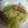 けいよせふ's cooksnap of when they made キャベツとソーセージのさっと煮.