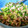 ドラミのリボン's cooksnap of when they made セロリの粒マスタード炒め.