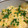ハピクロ827's cooksnap of when they made とろろたまご丼.