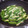 Hoink's cooksnap of when they made ししとうチーズのガーリック炒め.