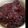 ゆゆわた's cooksnap of when they made 圧力鍋使用☆鶏肉手羽元赤ワイン煮込み.