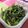 甘い水's cooksnap of when they made 大根の葉炒め♪.