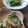 あみ2325's cooksnap of when they made 電子レンジで作る◎茄子とオクラの煮びたし.