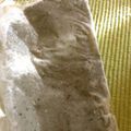 さぁ★たぁ★'s cooksnap of when they made 離乳食初期☆しらすのペースト.