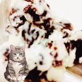 バファリス☆'s cooksnap of when they made バター好きのためのマーガリンinレーズン.