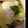 はぷすた's cooksnap of when they made シロナの目玉閉じ.