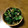 まあくんのおくさん's cooksnap of when they made 青菜とわかめのなめたけ和え.